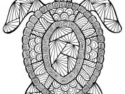 Turtles Coloring Pages for Kids