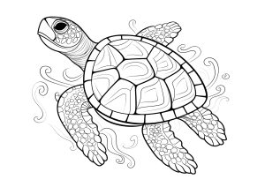 Beautiful turtle to color
