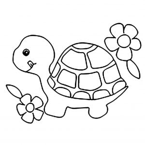 pictures to color for boys - Bing Images Coloring pages for boys, Turtle coloring pages, Coloring pages for kids