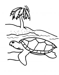 Coloring page turtles to color for children