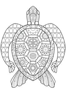 Turtle with geometric shapes (Coloring Page)