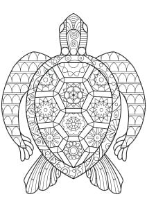 Turtle with geometric shapes