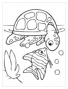 Coloring page turtles to print