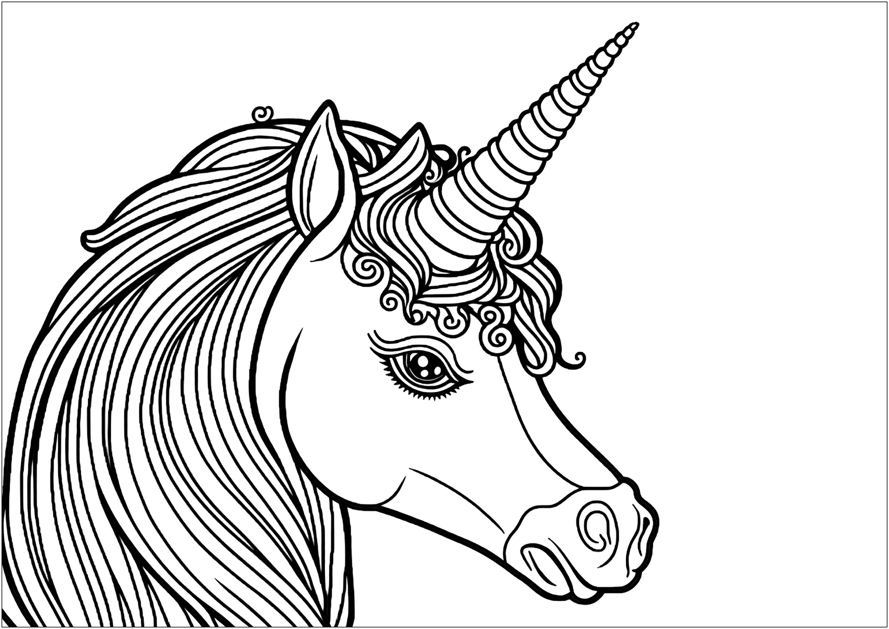 A pretty unicorn seen in profile, on a white background