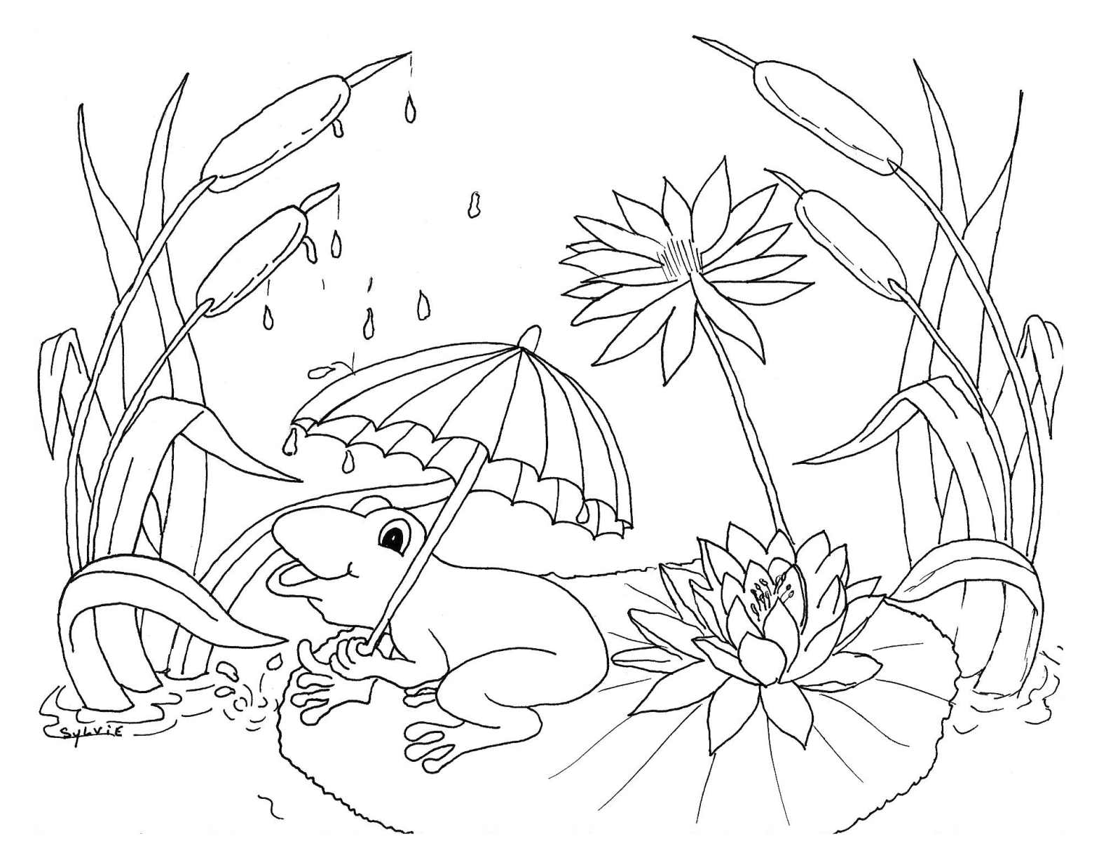 Frog and rain coloring page