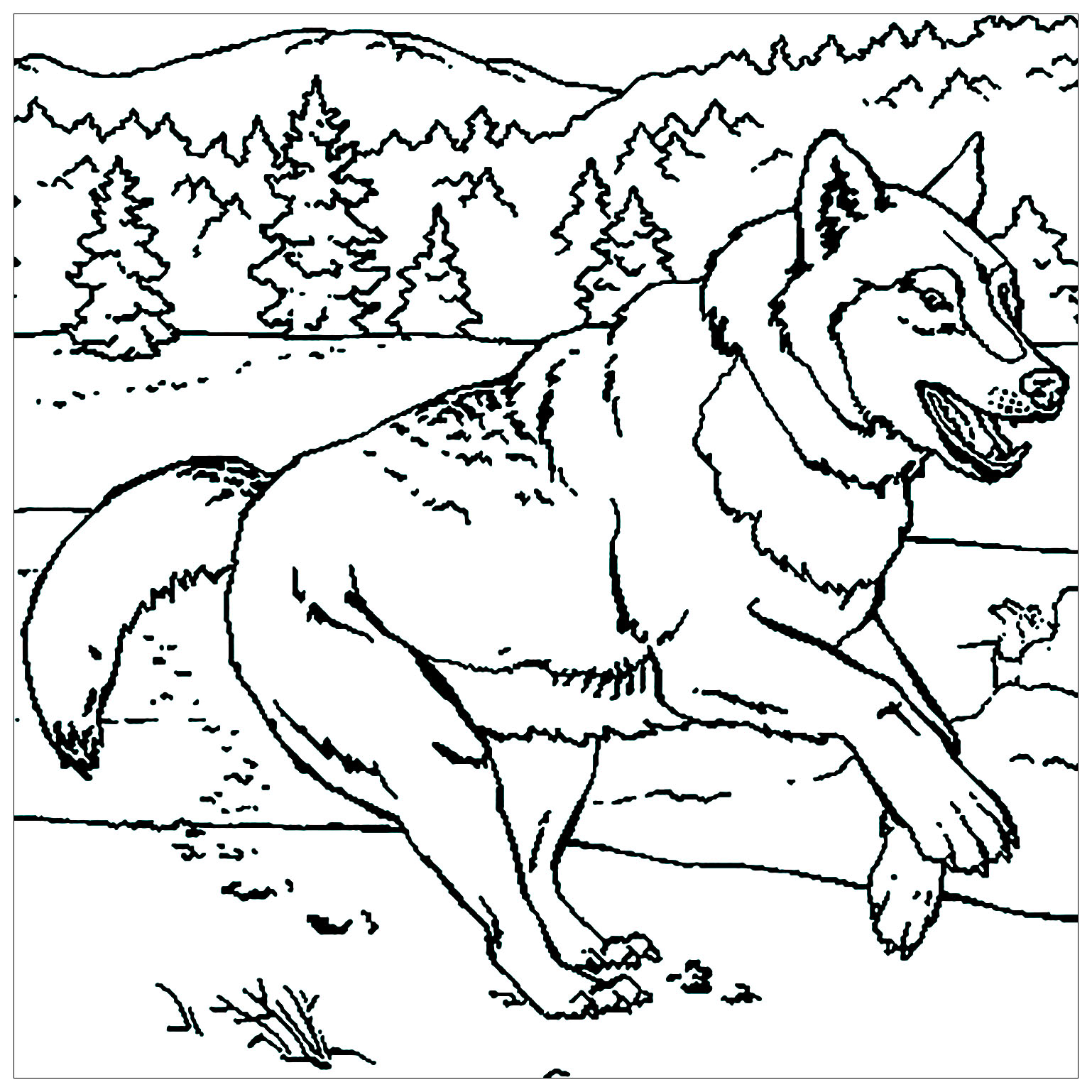 Coloring of a wolf running in the wild