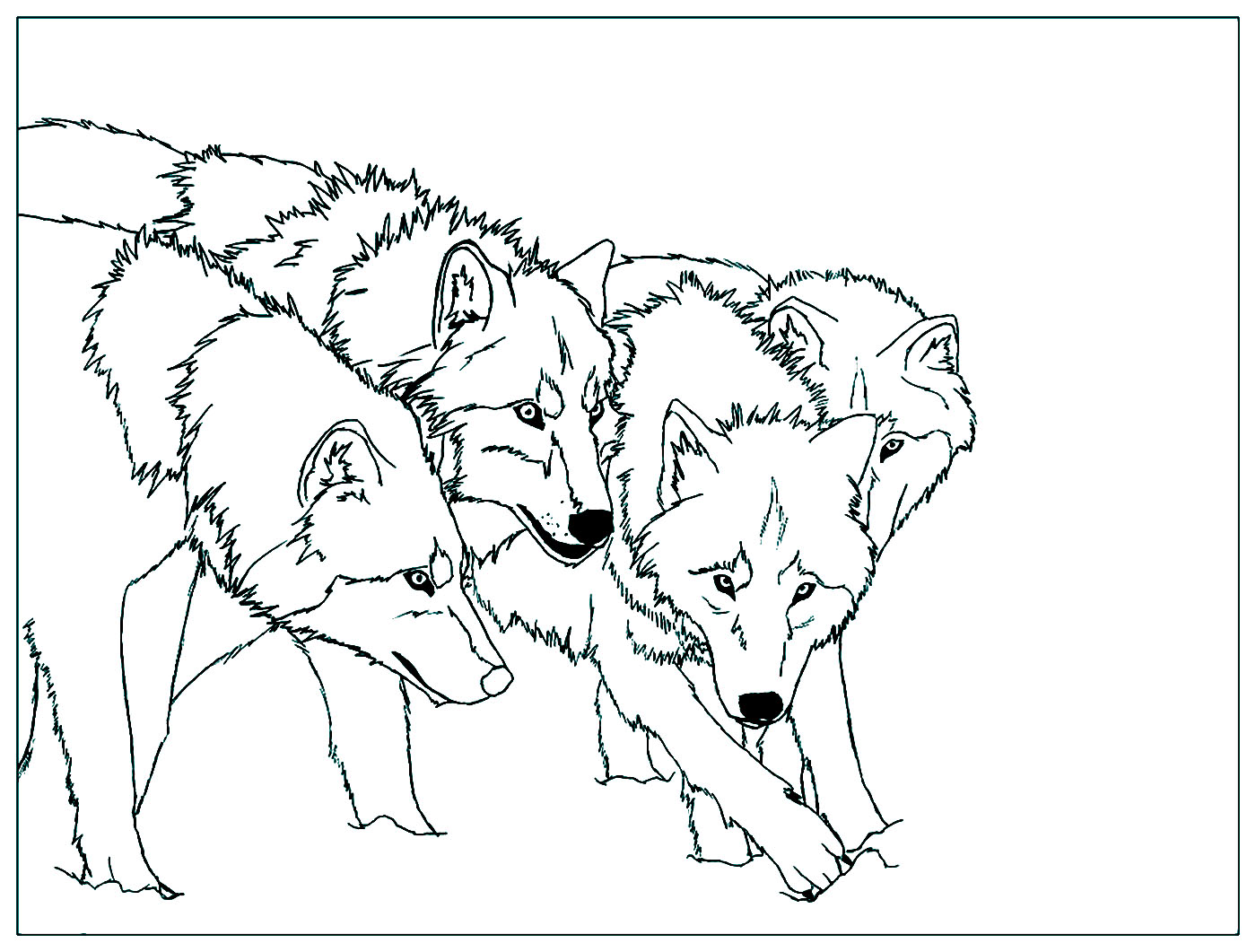 pack of wolves drawing