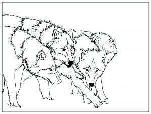 Wolf Coloring Book For Kids: Funny and Easy Wolf Coloring Book for