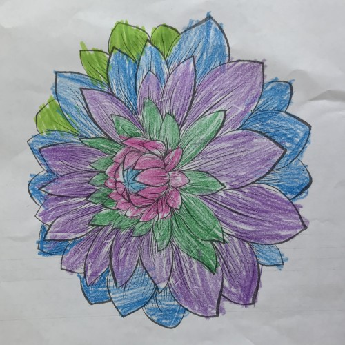 flowers