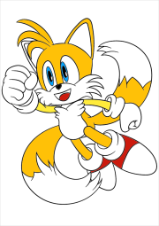 Werk von Anonym nach Tails the fox in full jump