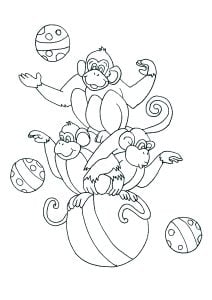 Zirkusaffen, die auf einem großen Ballon spielen. (Ausmalbild von Affen)