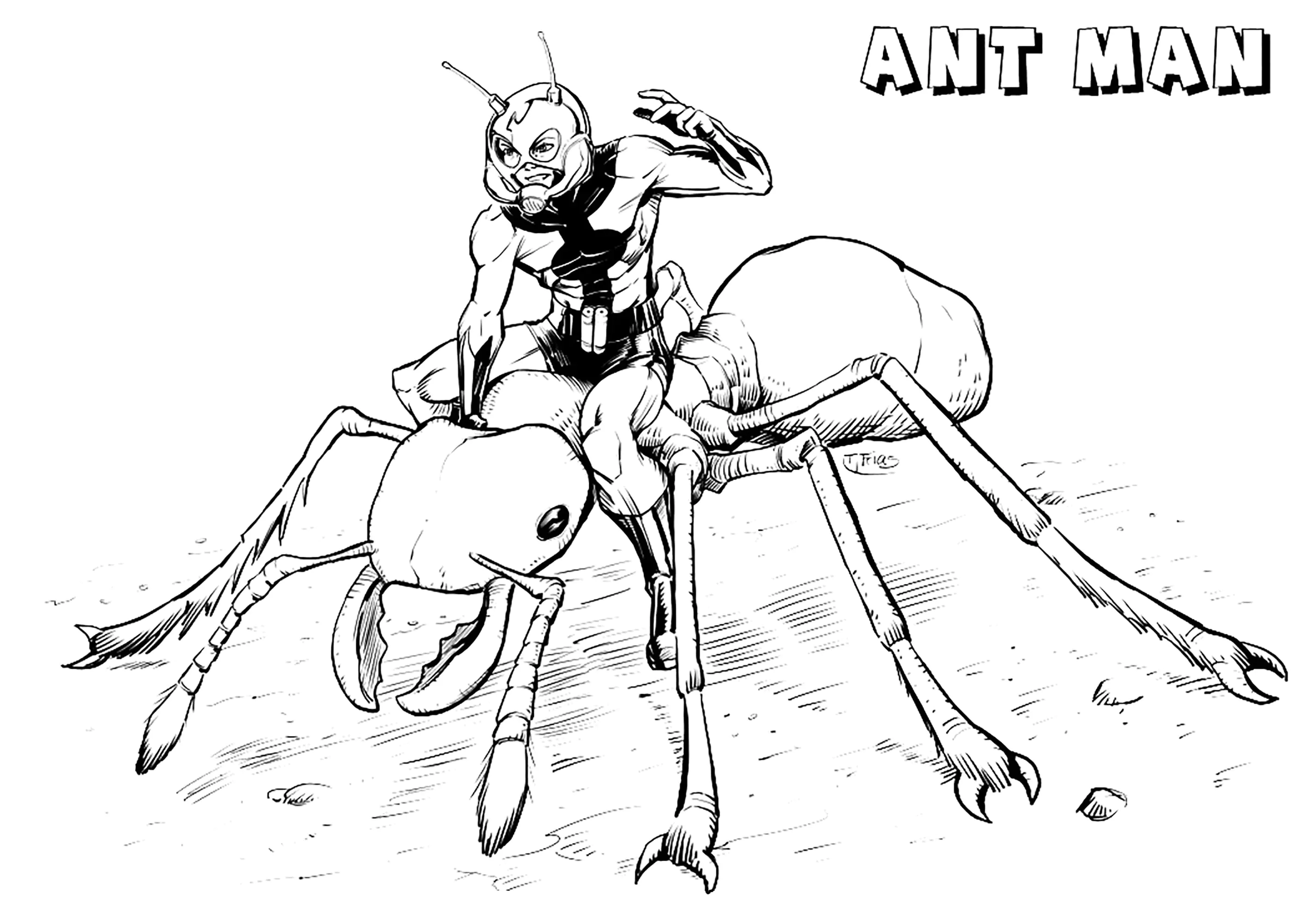 Ant-Man auf einer Ameise (Ausmalbild zum Ausdrucken und Ausmalen für Kinder)
