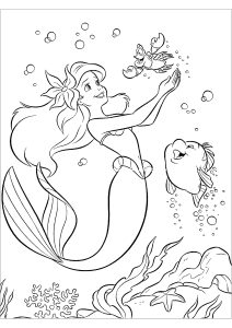 Ariel ist mit Sebastian, dem Hummer, und ihrem Freund, dem Fisch Polochon. (Ausmalbild von Arielle, die Meerjungfrau)