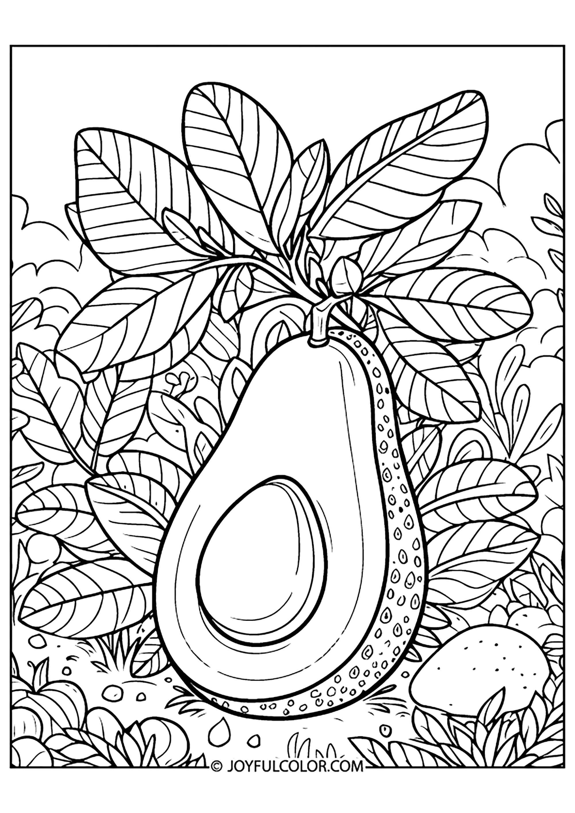 Realistische Avocado mit ihren Blättern (Ausmalbild zum Ausdrucken und Ausmalen für Kinder)