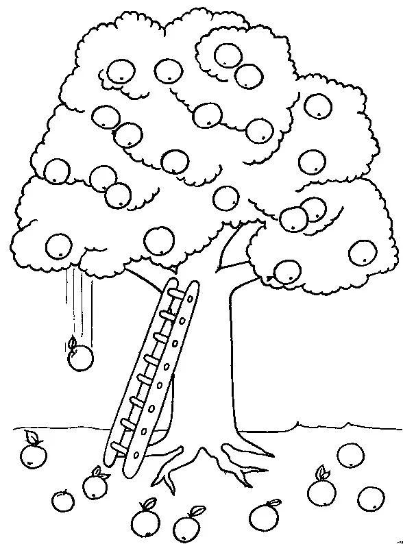 Apfelbaum (Ausmalbild von Baeume zum Ausdrucken und Ausmalen für Kinder)