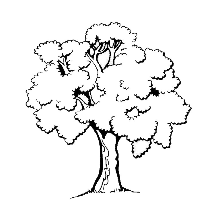 Schöner kleiner Baum (Ausmalbild von Baeume zum Ausdrucken und Ausmalen für Kinder)