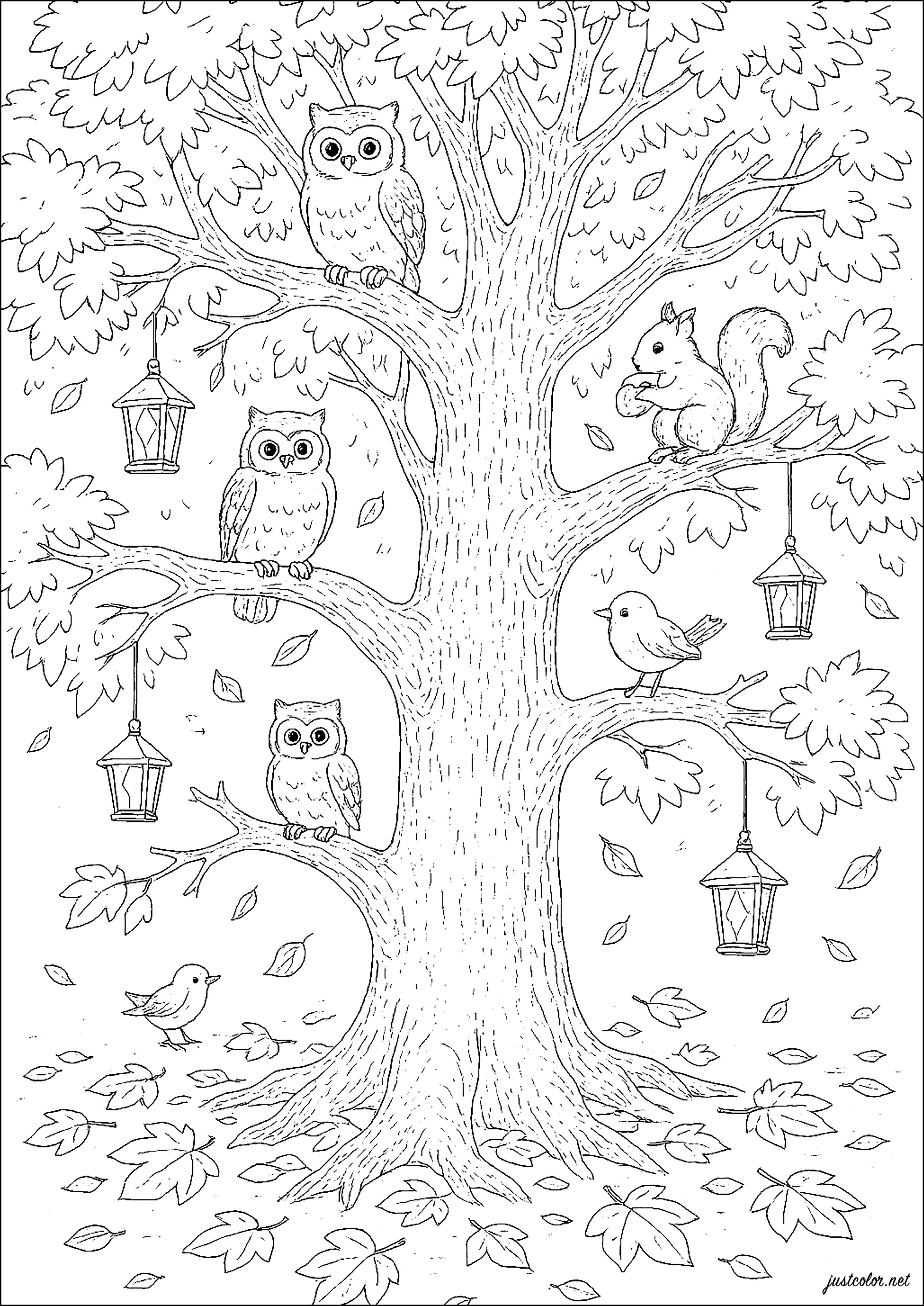 Der Baum mit den Eulen und Eichhörnchen (Ausmalbild von Baeume zum Ausdrucken und Ausmalen für Kinder)