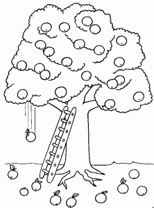 Apfelbaum (Ausmalbild von Baeume)