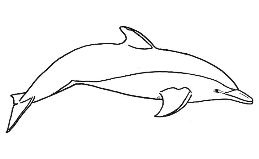 Einfache Zeichnung eines Delfins (Ausmalbild von Delfine zum Ausdrucken und Ausmalen für Kinder)