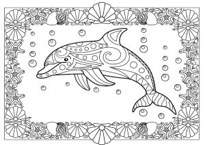 Schöner Delfin in einem Rahmen voller Meeresmotive. (Ausmalbild von Delfine)