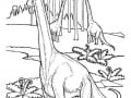 Brachiosaurus Ausmalbild (Ausmalbild von Dinosaurier)