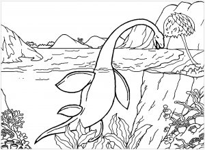 Elasmosaurus (Ausmalbild von Dinosaurier)