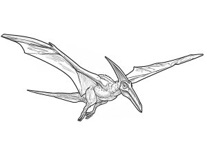Pterodaktylus im Flug (Ausmalbild von Dinosaurier)