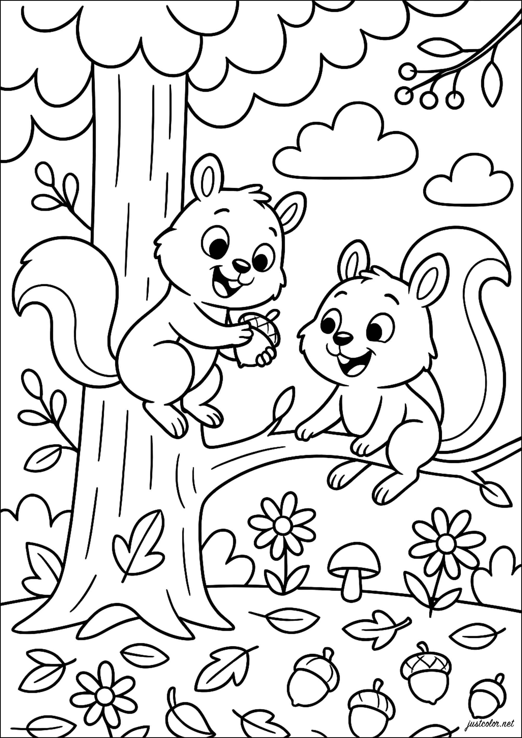 Kostenlose Ausmalbilder für Kinder von eichhörnchen (Ausmalbild zum Ausdrucken und Ausmalen für Kinder)
