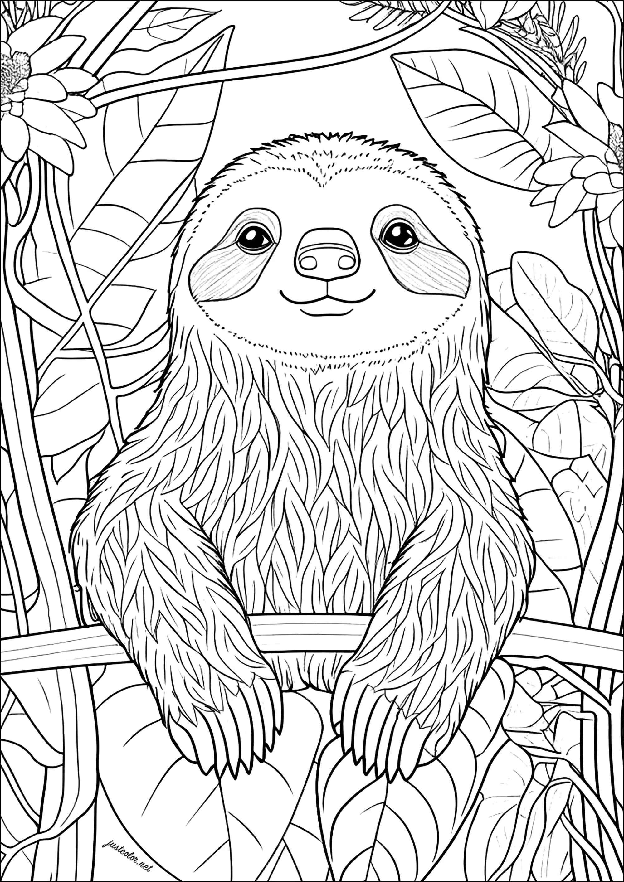 Schöner Faultier im Wald. (Ausmalbild von Faultiere zum Ausdrucken und Ausmalen für Kinder)