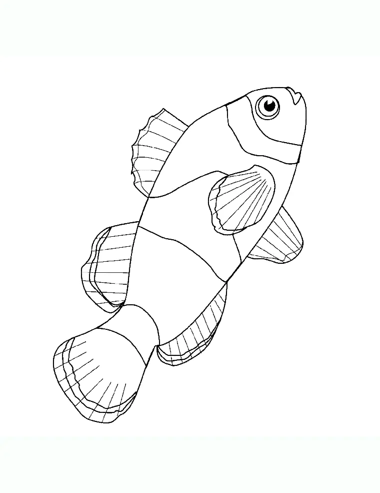 Bild von Fische zum Ausdrucken und Ausmalen