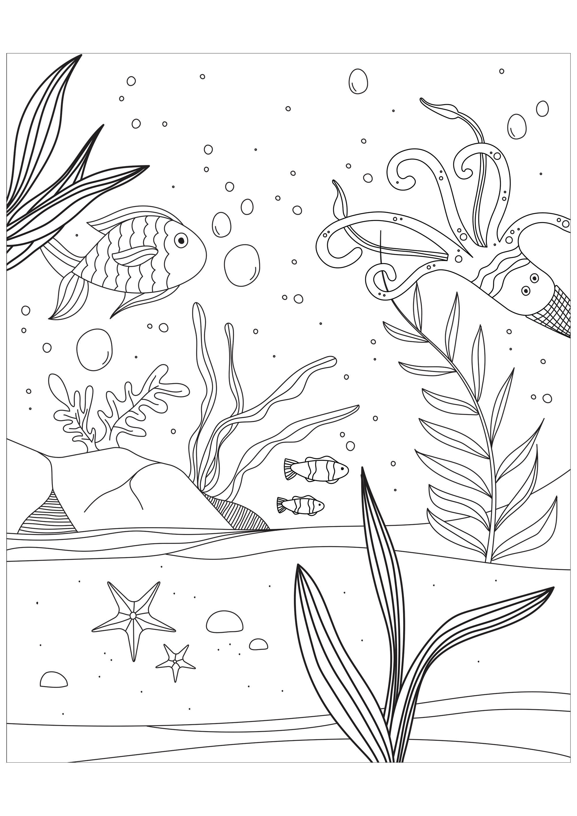 Fische, Krake und Seestern (Ausmalbild zum Ausdrucken und Ausmalen für Kinder)
