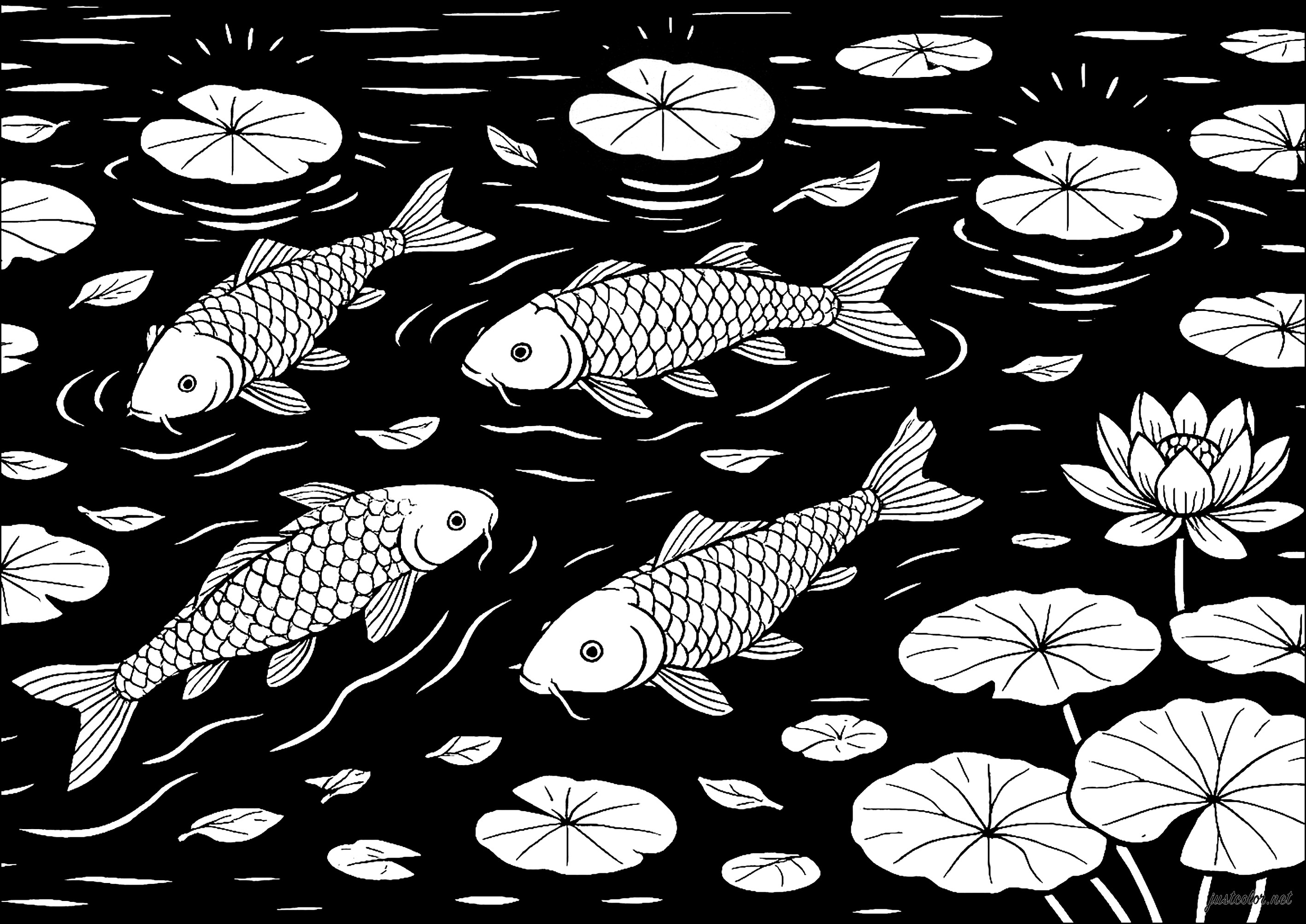 Fische und Wasserlilien (Ausmalbild zum Ausdrucken und Ausmalen für Kinder)