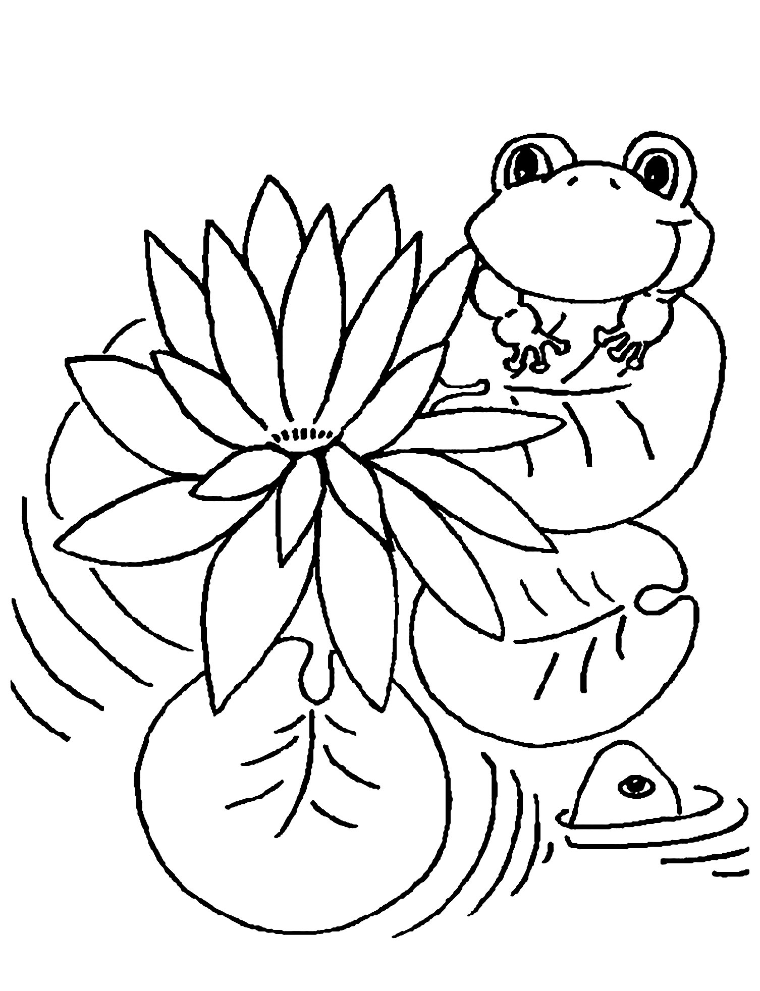 Frosch auf Seerose (Ausmalbild von Frösche zum Ausdrucken und Ausmalen für Kinder)
