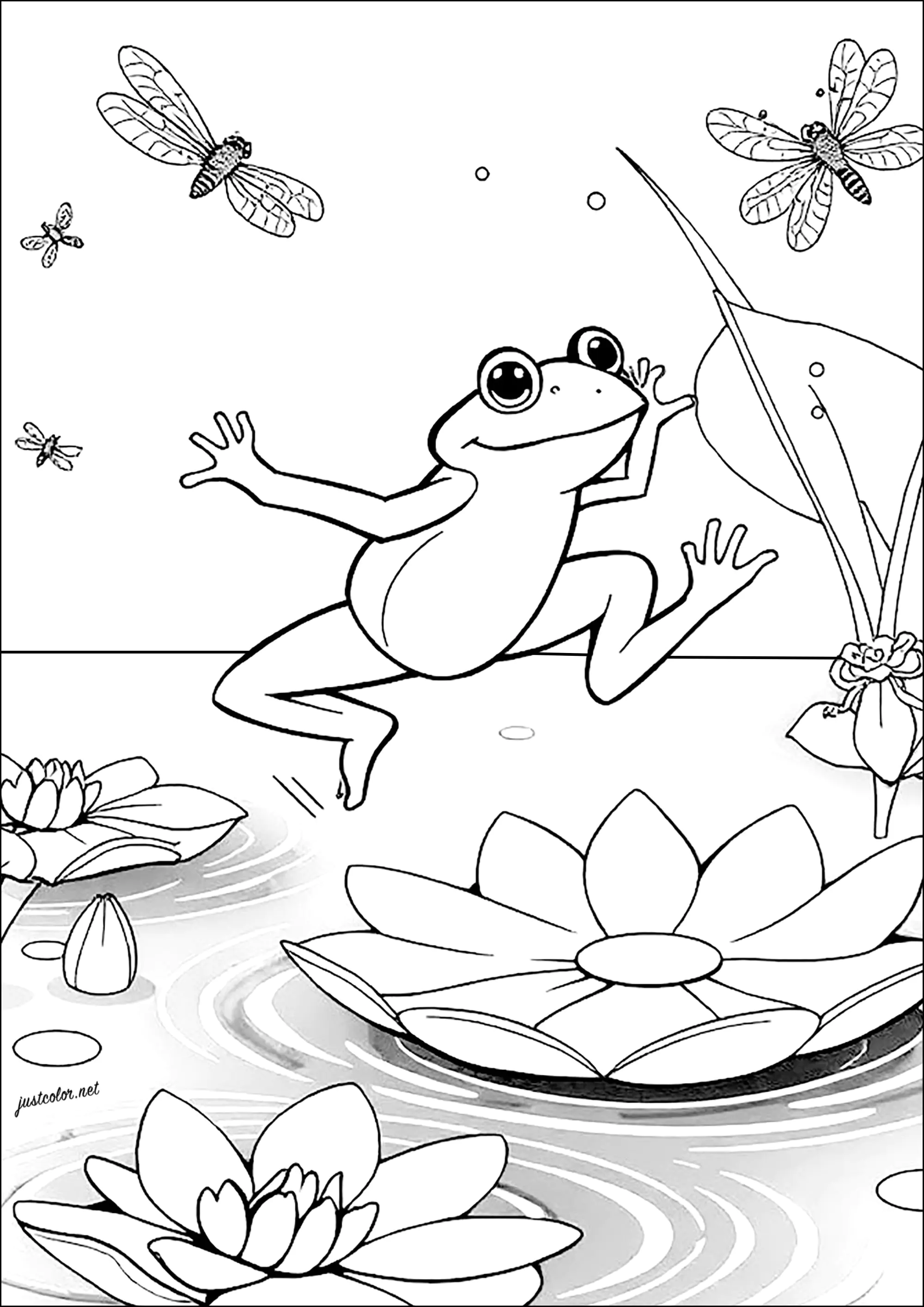 Frosch springt von Seerose zu Seerose (Ausmalbild von Frösche zum Ausdrucken und Ausmalen für Kinder)