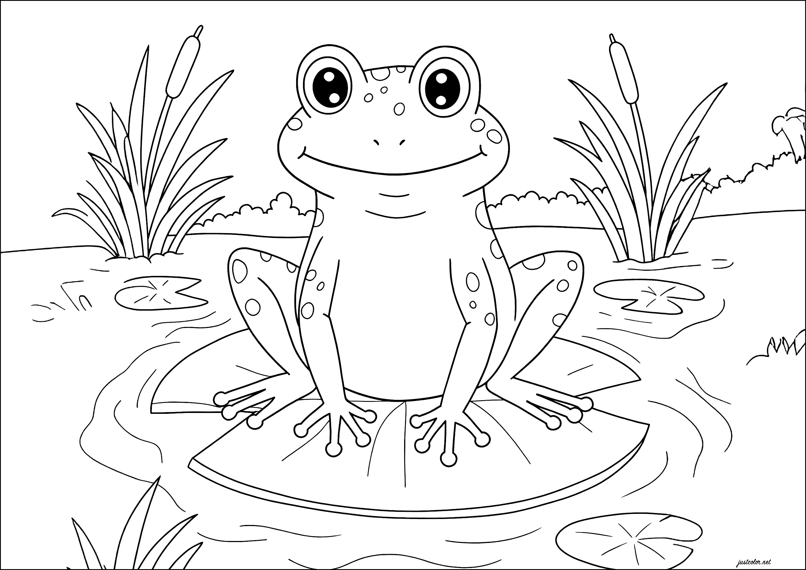  Großer Frosch auf einer Seerose - Ausmalbilder von Frösche zum Ausmalen Illustration 