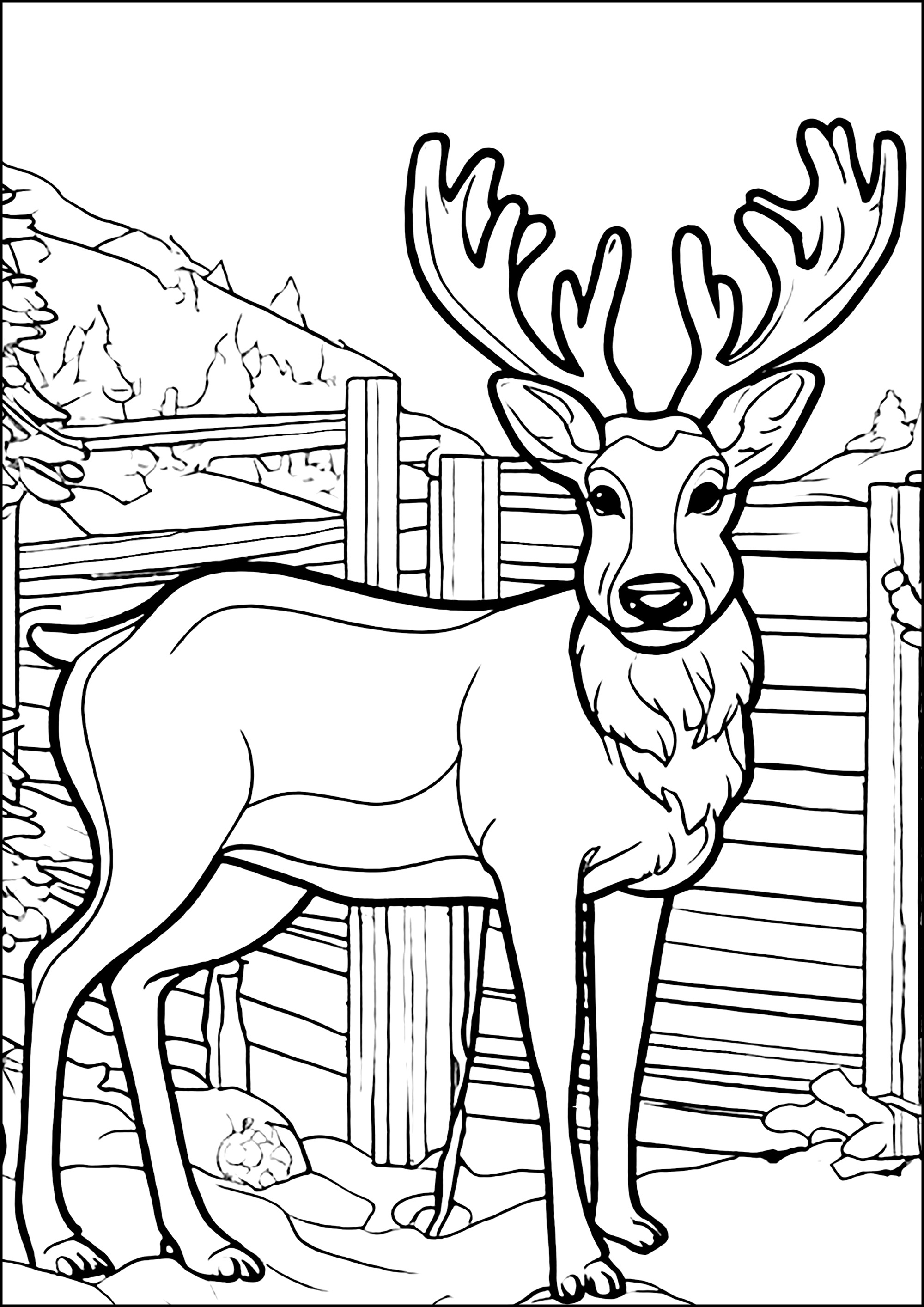  Hübscher Hirsch in den Bergen - Ausmalbilder von Hirsche zum Ausmalen Motiv 