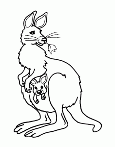 Känguru und sein Baby (Ausmalbild von Kaengurus)
