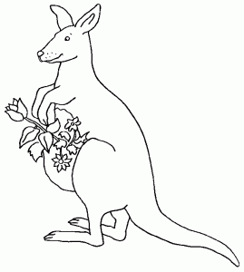 Känguru-Malvorlage zum kostenlosen Herunterladen (Ausmalbild von Kaengurus)