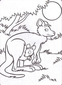 Känguru-Collage zum Ausdrucken für Kinder (Ausmalbild von Kaengurus)