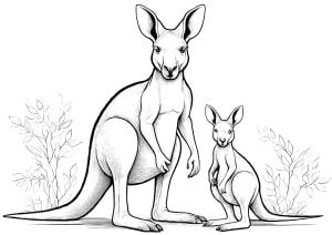 Zwei Kaengurus (Ausmalbild)