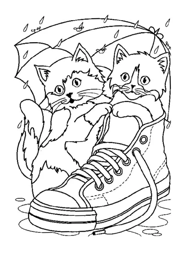 Kätzchen in einem Turnschuh (Ausmalbild von Katzen zum Ausdrucken und Ausmalen für Kinder)