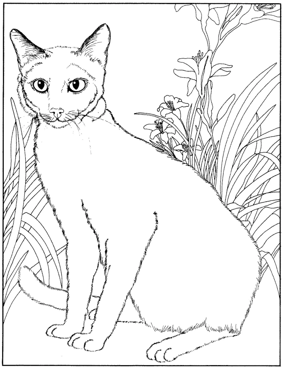 Katzenfärbung (Ausmalbild von Katzen zum Ausdrucken und Ausmalen für Kinder)