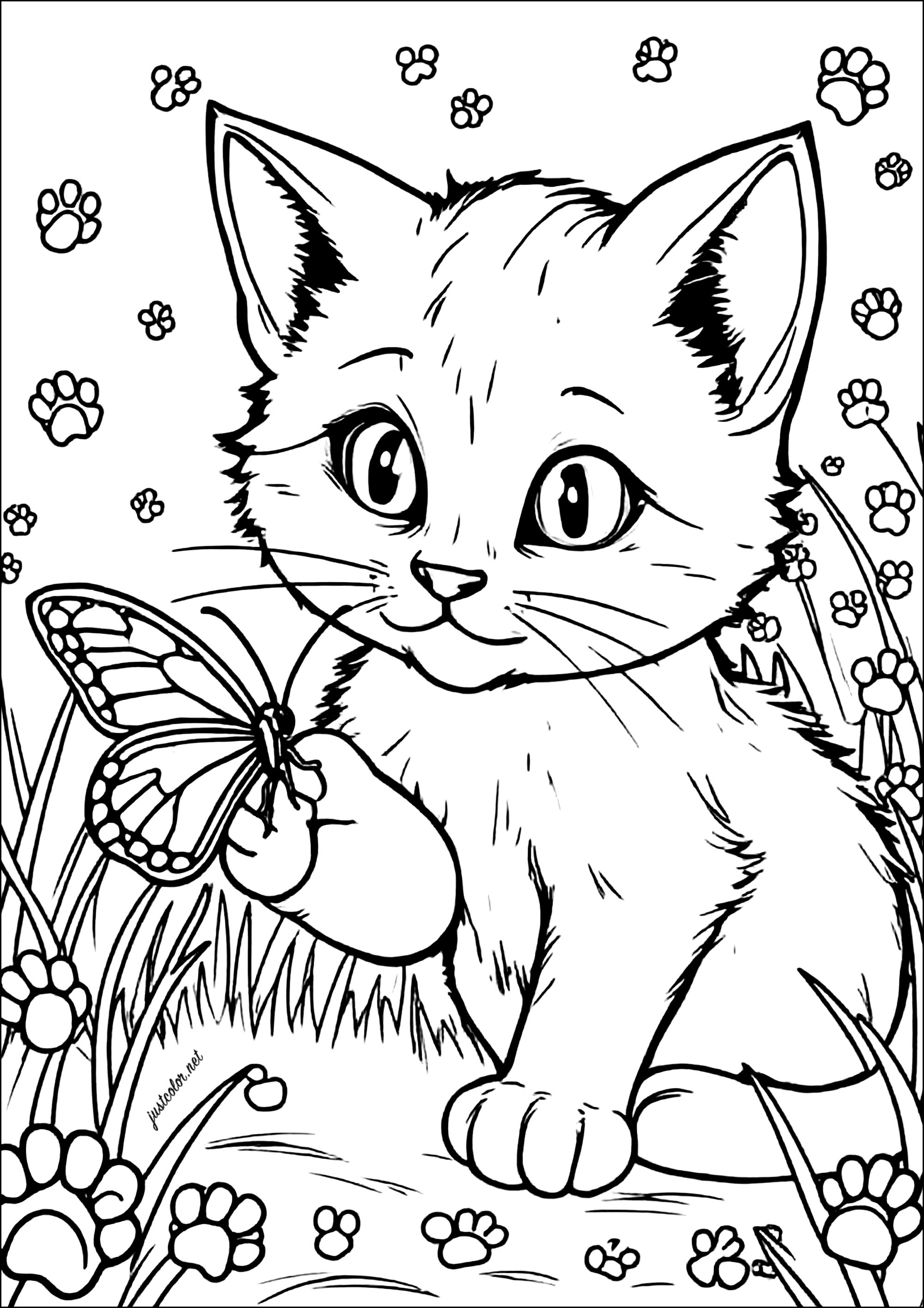 Großäugige Katze mit einem Schmetterling (Ausmalbild von Katzen zum Ausdrucken und Ausmalen für Kinder)