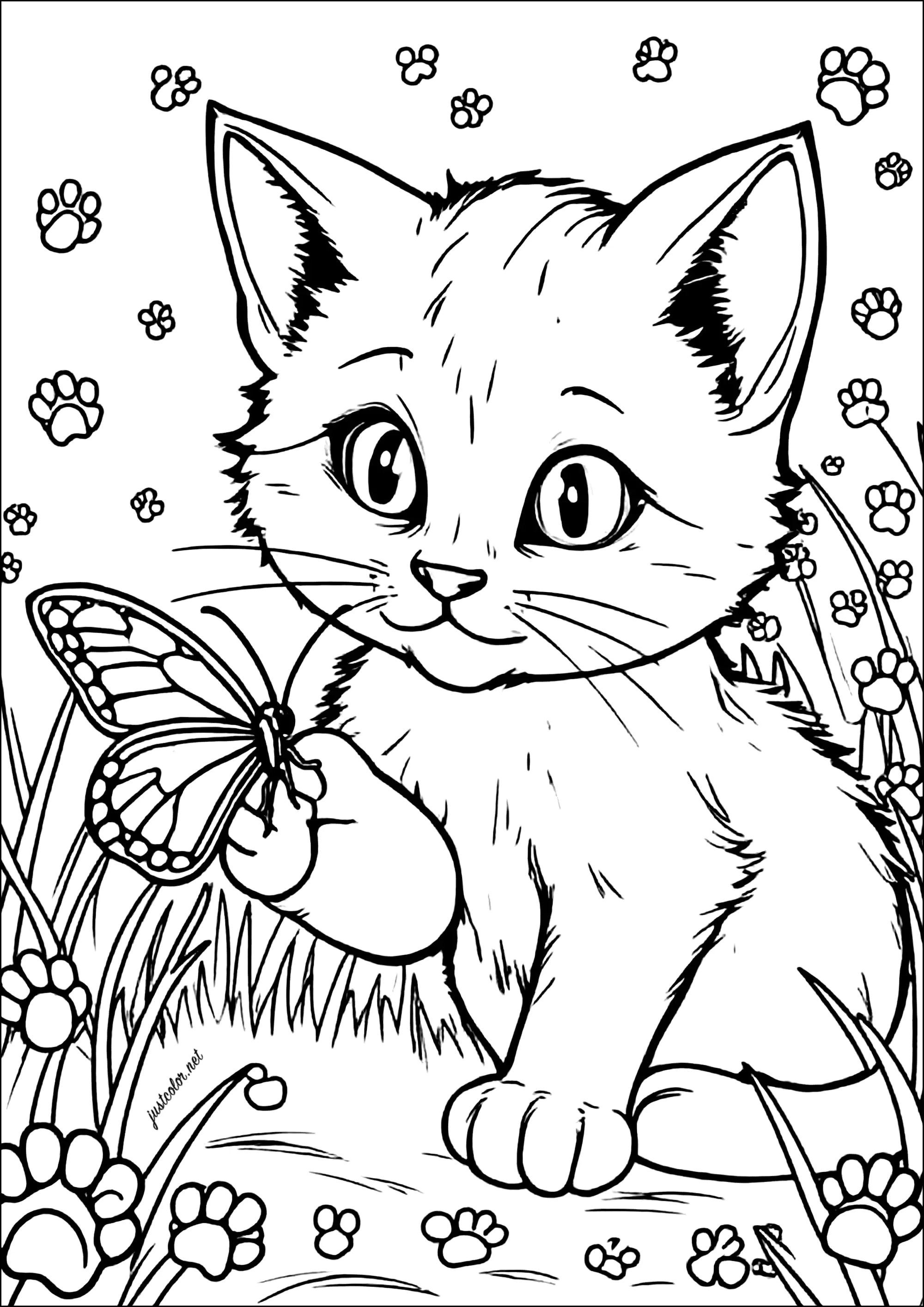 Großäugige Katze mit einem Schmetterling (Ausmalbild von Katzen zum Ausdrucken und Ausmalen für Kinder)
