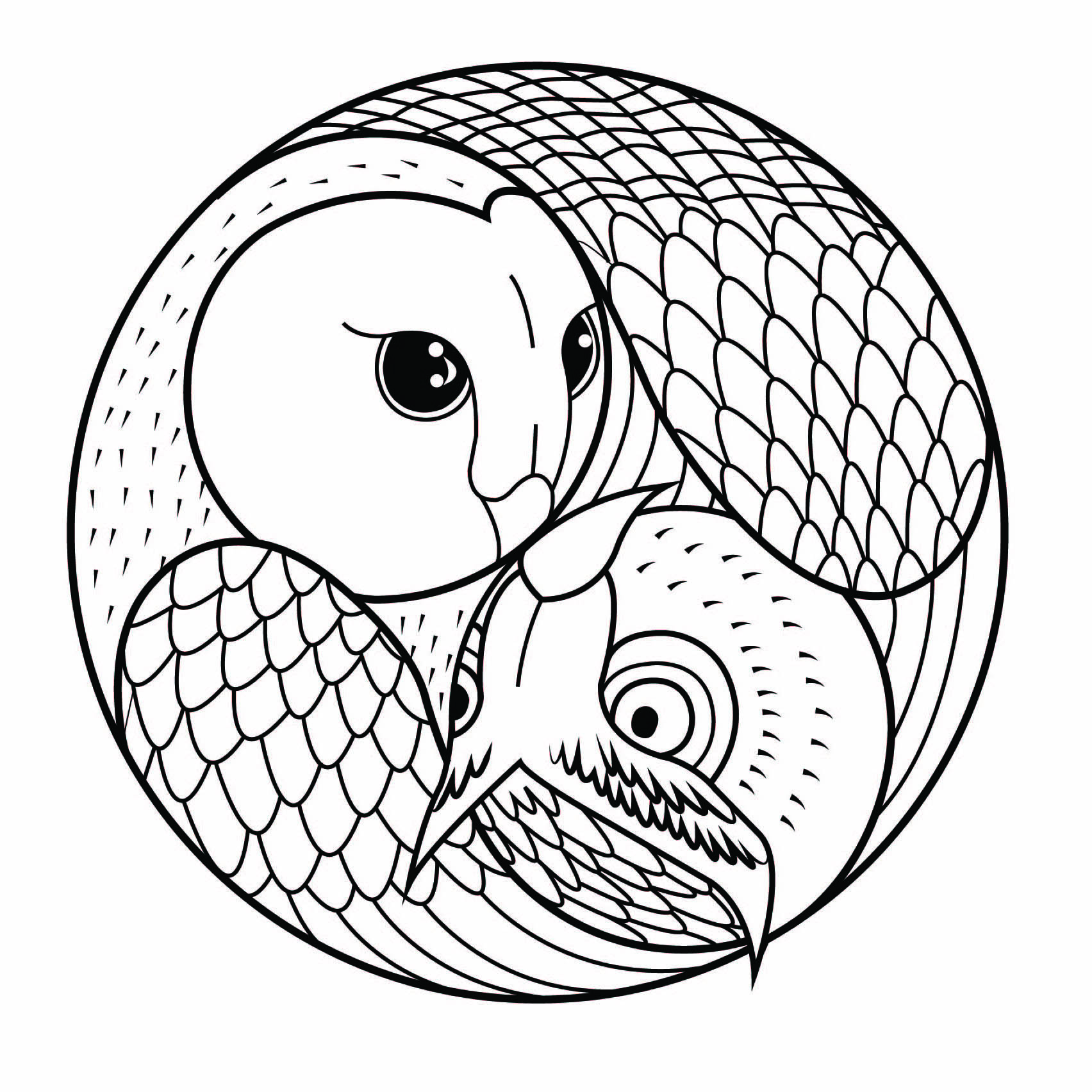 Eule und Eulen Yin - Ausmalbilder von Mandala zum Ausmalen