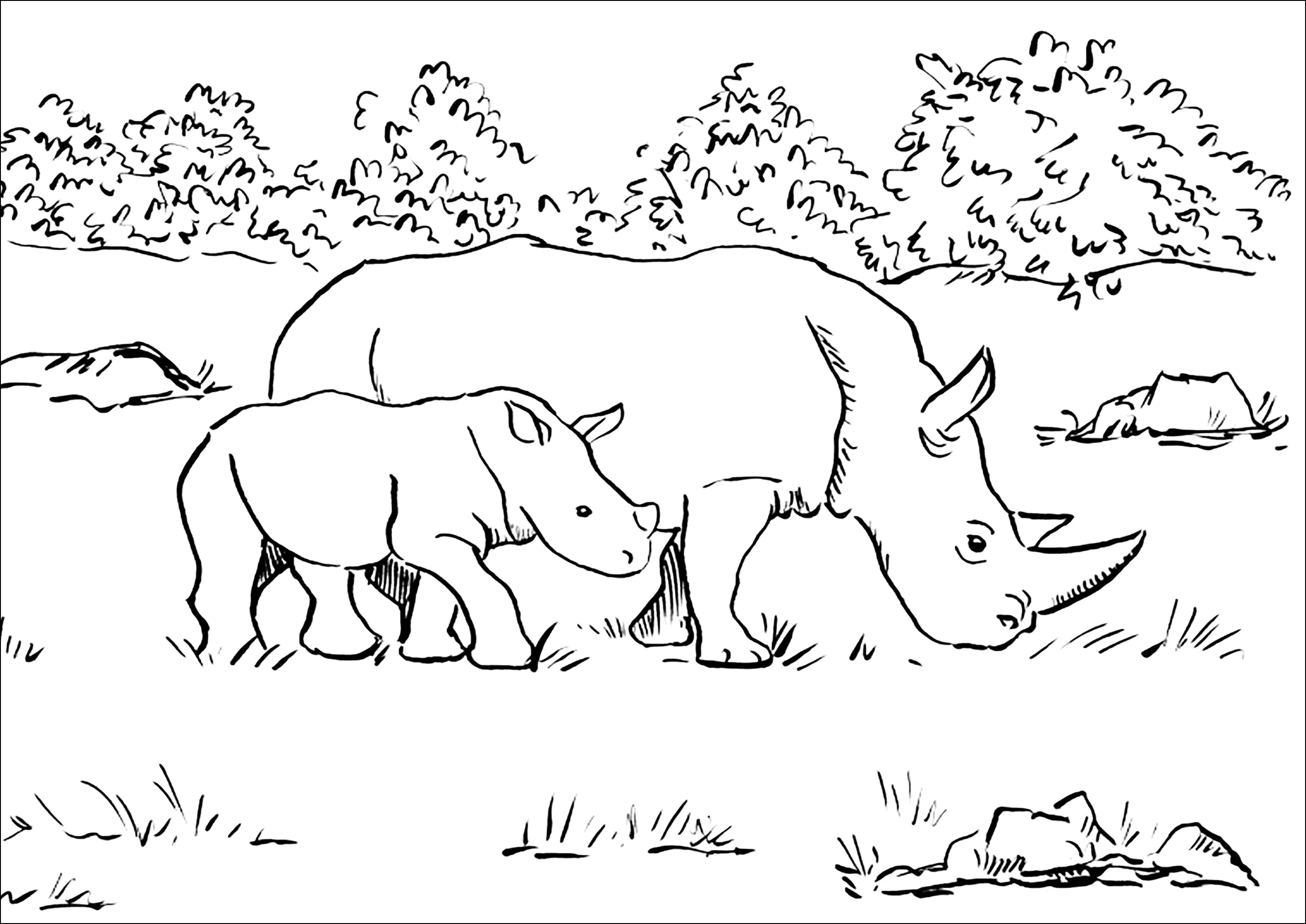 Rhinomutter und ihr Kleines. (Ausmalbild von Nashörner zum Ausdrucken und Ausmalen für Kinder)