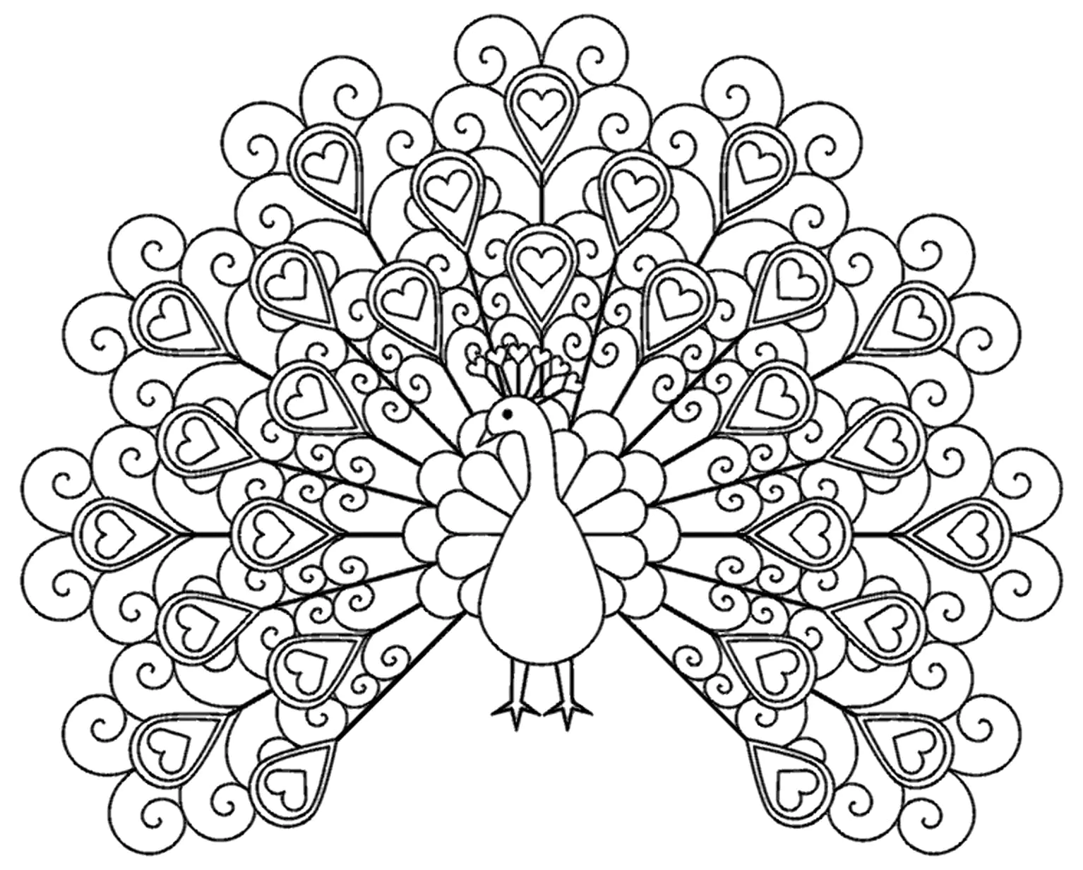 Ausmalbilder Pfau für Kinder (Ausmalbild von Pfauen zum Ausdrucken und Ausmalen für Kinder)