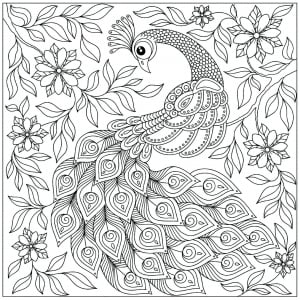 Hübscher Pfau (Ausmalbild von Pfauen)