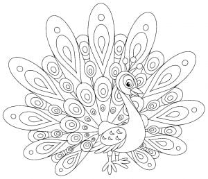 Pfau zum Ausmalen für Kinder (Ausmalbild von Pfauen)