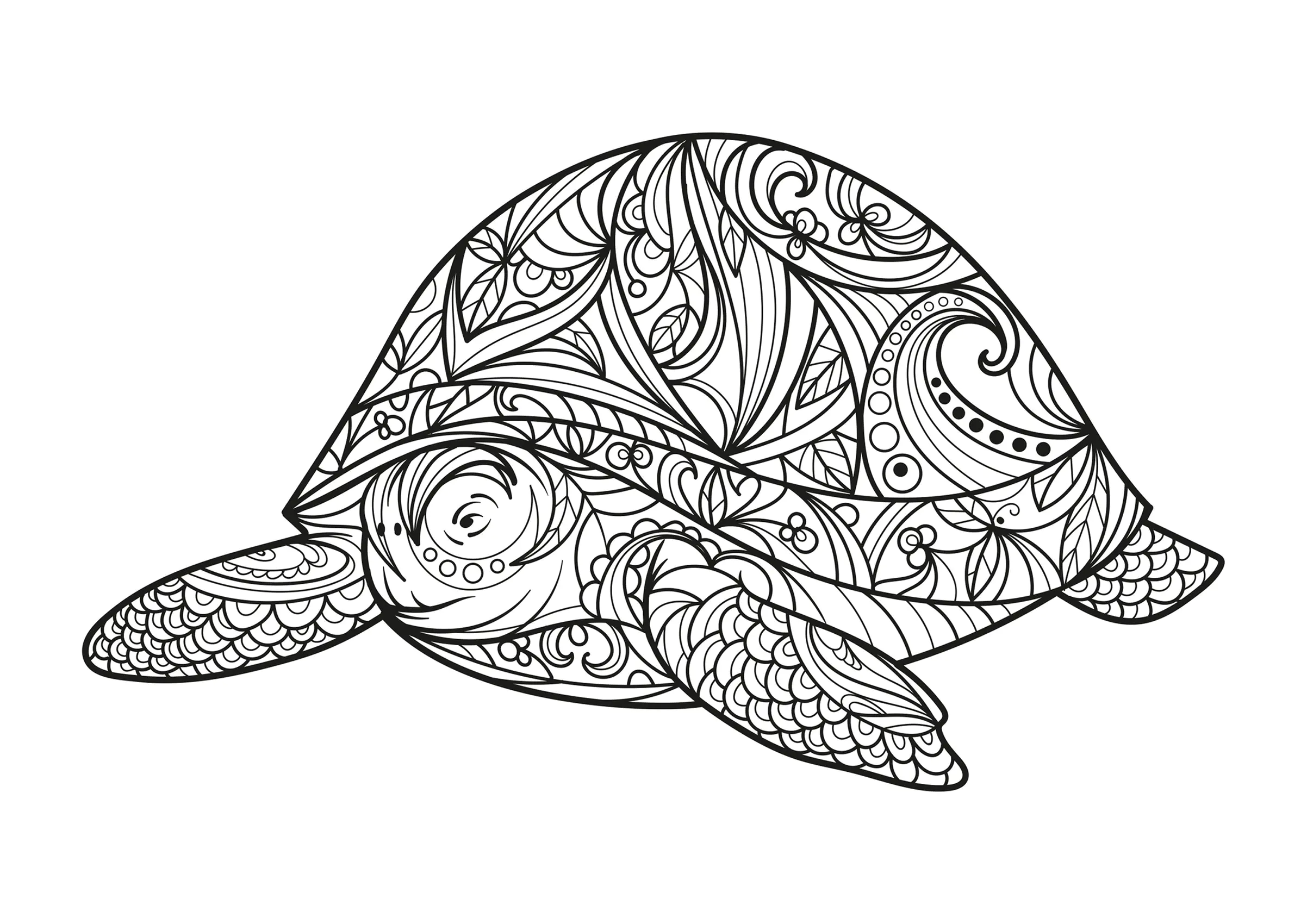 Große Schildkröte (Ausmalbild von Schildkröten zum Ausdrucken und Ausmalen für Kinder)